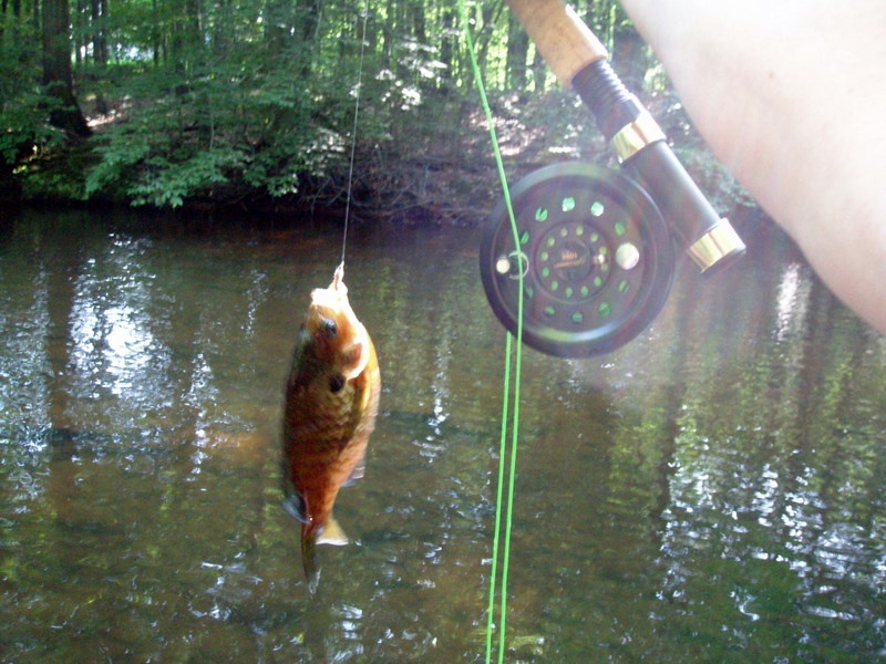 first fish on flies