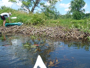 largemouthjohn